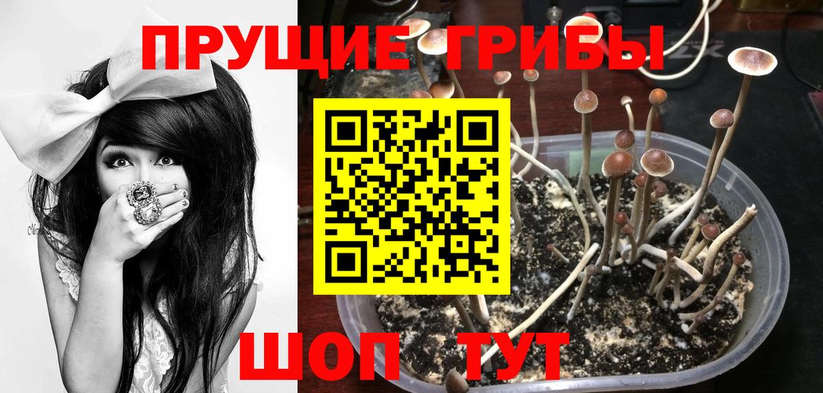 Галлюциногенные грибы прущие грибы  Вход с VPN  Батайск  где продают наркотики  Галлюциногенные грибы MAGIC MUSHROOMS 